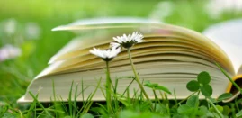 Photo d'un livre ouvert sur l'herbe