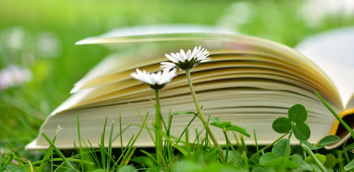 Photo-livresurherbe-fleursblanches-valeriepousset-ecrivainbiographe-Rennes Photo d'un livre ouvert sur l'herbe